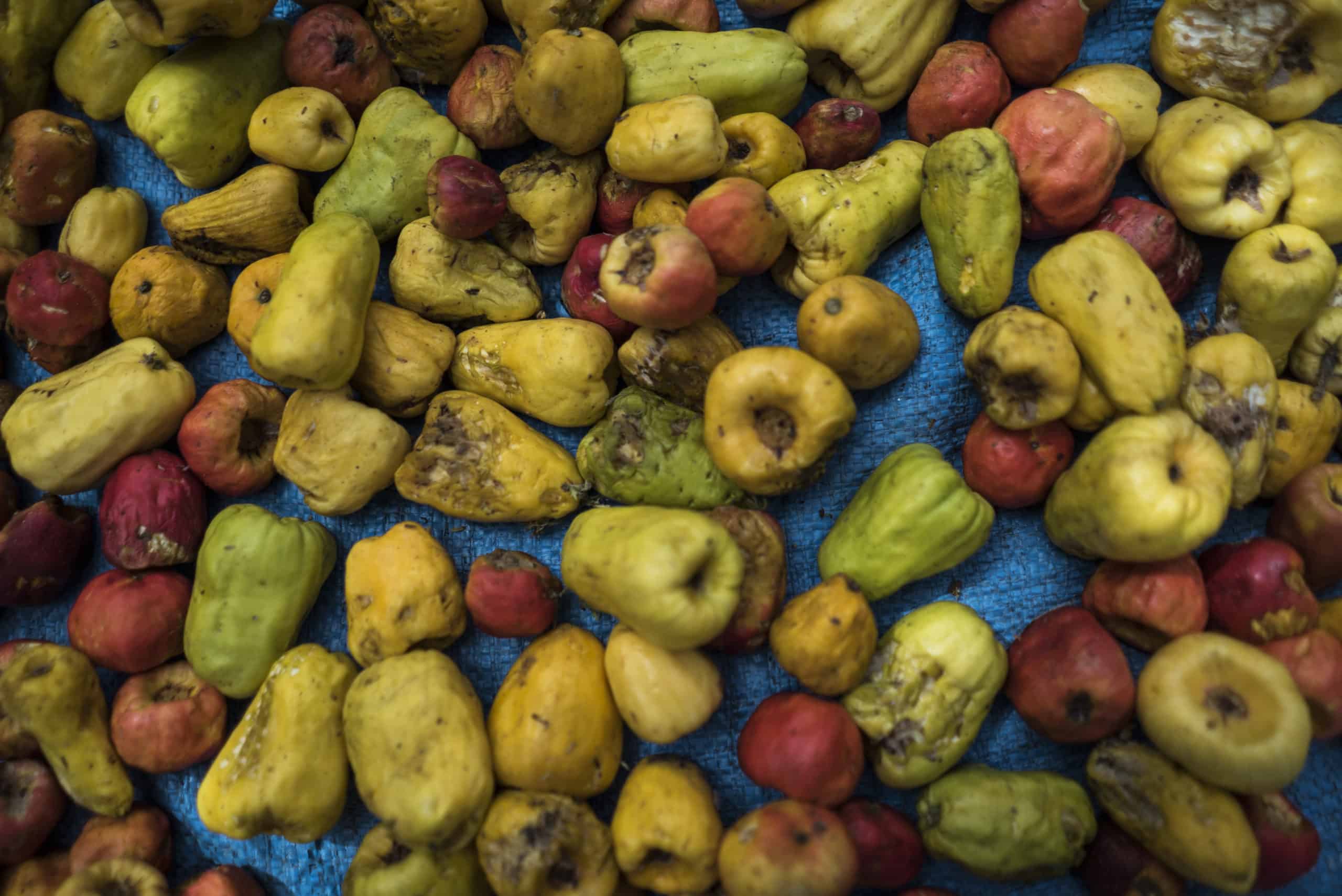CashewApple5