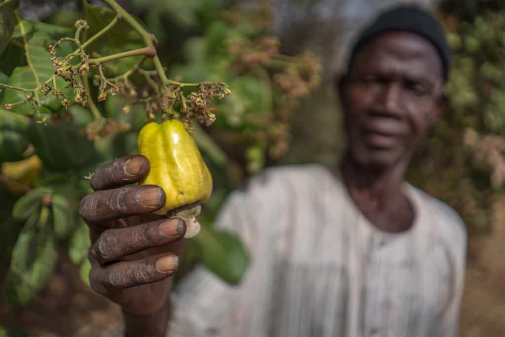 Keba with Cashew