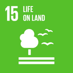 United Nation's Sustainable Development Goals
