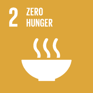 United Nation's Sustainable Development Goals