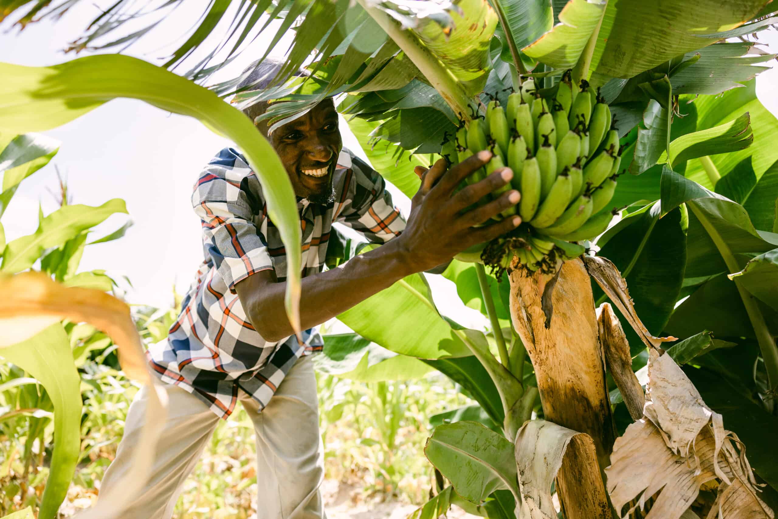 Photo of farmer Onesmo from Singida, Tanzania from the 2022 TREES Impact Report